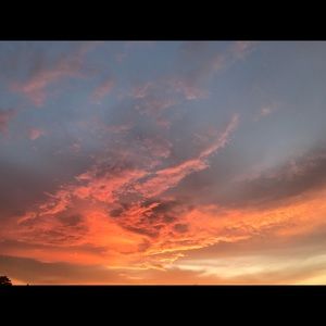 Meet your Posher, Shelley